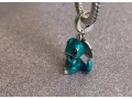 chameleon-small-1
