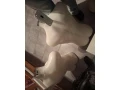 figuriny-small-2