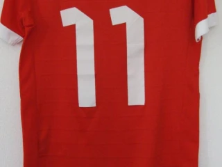 svajciarsko