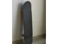 skateboard-globe-colorbomb-775-small-1