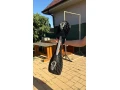 waveboard-jd-bug-small-1