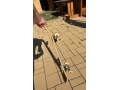 skateboard-80-zlto-modry-small-1