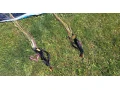 predam-tandem-kridlo-small-4