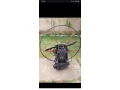 paraglidingova-krosna-motor-small-0