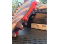 detske-kopacky-adidas-predator-elite-vel38-small-3
