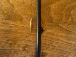 predam-hlaven-8x57-blaser-r8