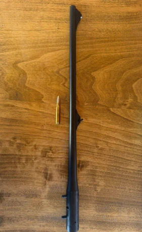 predam-hlaven-8x57-blaser-r8-big-0