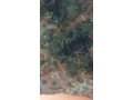 airsoft-komplet-vybava-pre-cca-13-16rocnych-small-3