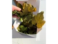 novritsch-camo-okuliare-prislusenstvo-small-1
