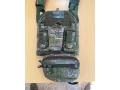 fenix-protector-demon-small-3