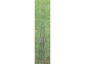 3-x-century-fatboy-slim-25lb-uk-green-cena-260-eurkus-small-0