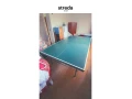pingpongovy-stol-small-0