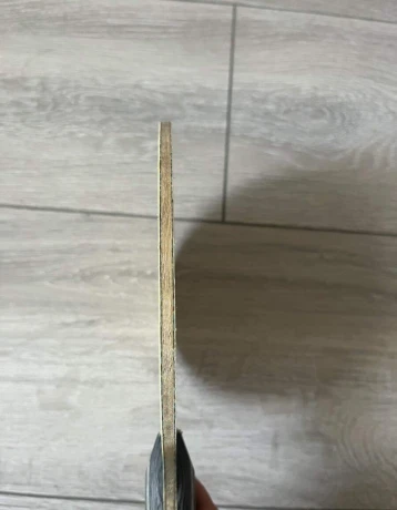 butterfly-fan-zhendong-alc-big-3