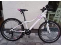 dievcensky-horsky-bicykel-kross-lea-small-0