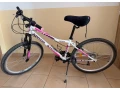 dievcensky-kenzel-26-small-0