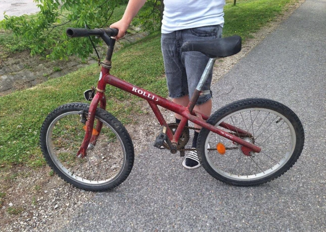 horsky-bicykel-detsky-od-6-10rokov-big-1