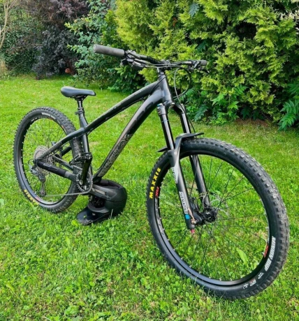 dartmoor-hornet-big-0