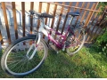 predam-damsky-bicykel-dema-small-0