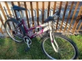 predam-damsky-bicykel-dema-small-1