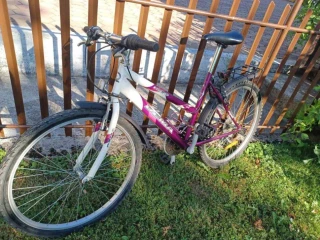 predam-damsky-bicykel-dema