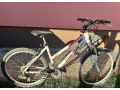 predam-bicykel-dema-lady-small-3