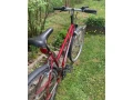 bicykel-amulet-26-small-1