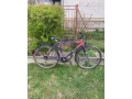 bicykle-trek-lucky-country-26-small-0