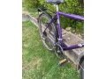 bicykle-trek-lucky-country-26-small-4