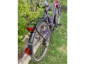 bicykle-trek-lucky-country-26-small-2