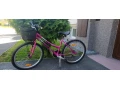 damsky-bycikel-small-0