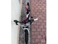 bicykel-scott-24-small-2