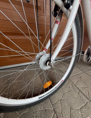 zensky-bicykel-kenzel-26-big-2
