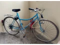 eska-unicykl-krasny-povodny-stav-small-0