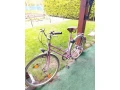 damsky-retro-bicykel-small-0