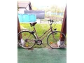 damsky-retro-bicykel-small-2