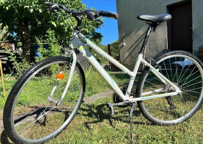 dema-big-1