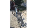 predam-elektrobicykel-crussis-e-cross-small-2