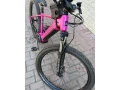 pells-ebike-zensky-small-1