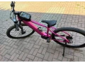 pells-ebike-zensky-small-2