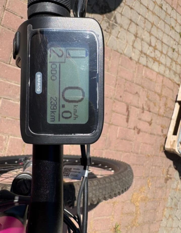 pells-ebike-zensky-big-4