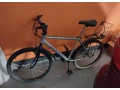 horsky-bicykel-alpina-small-0
