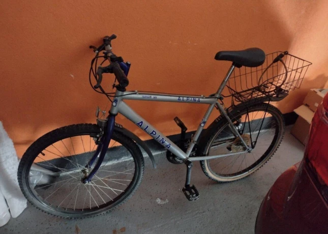 horsky-bicykel-alpina-big-0