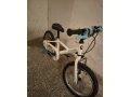 detsky-bicykel-small-0