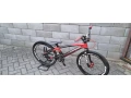 bmx-prophecy-junior-carbon-small-0