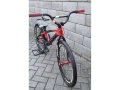 bmx-prophecy-junior-carbon-small-2