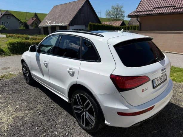 audi-sq5-audi-sq5-30-tfsi-big-2