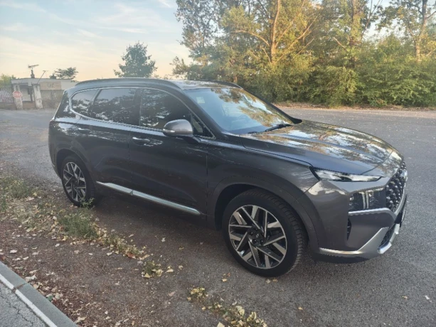 hyundai-santa-fe-22-crdi-premium-4x4-at-148kw202hp-a8-big-3