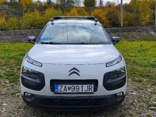 citroen-c4-cactus-c4-cactus-puretech-110-ss-shine-81kw110hp-m5