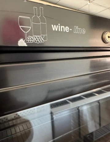 predam-profesionalnu-vinoteku-electrolux-wine-line-400-l-big-2