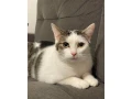 bojazlive-mojkadlo-oliver-hlada-domov-small-1